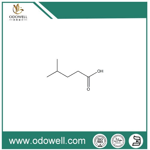 4-اسید متیل والریک