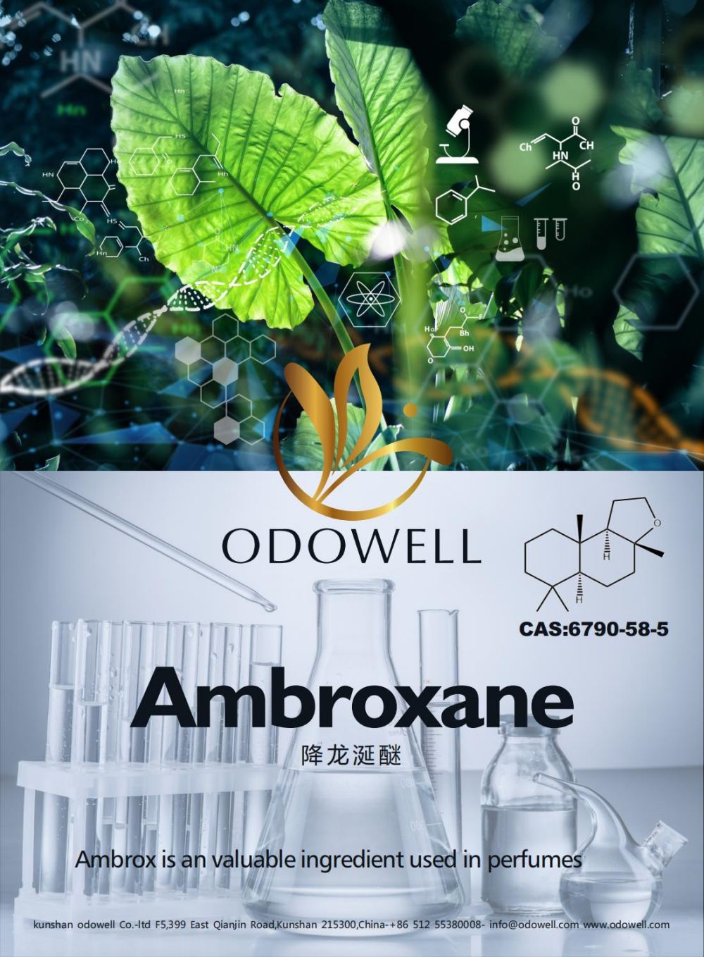 Odowell یک سال موفق را برای Ambroxane (Ambrox) جشن می گیرد