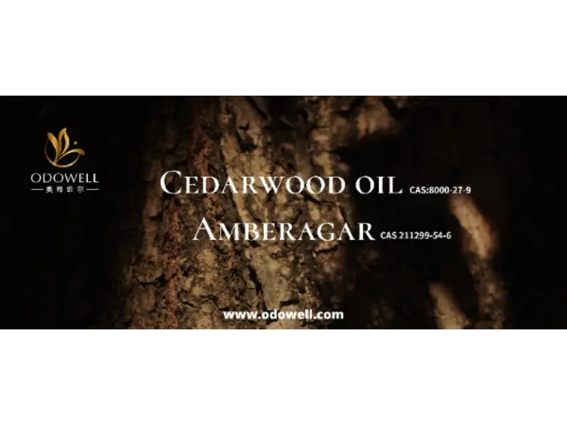 آیا رایحه امضای شما واقعا منحصر به فرد است؟