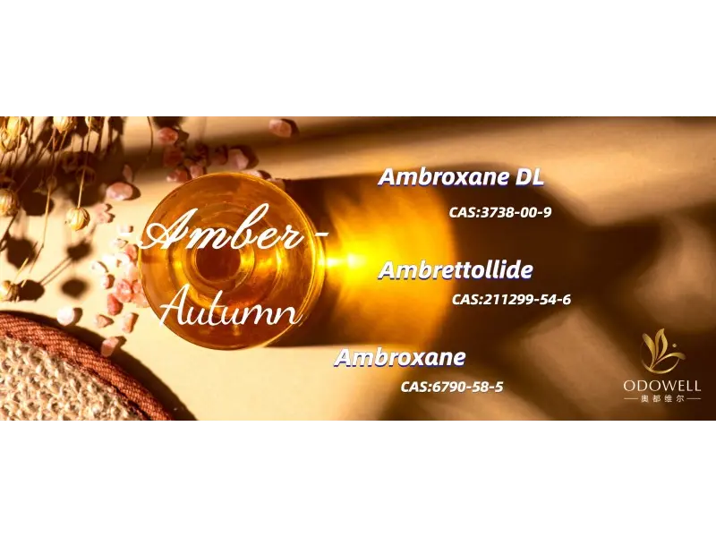 برترین رایحه های خنثی جنسیتی برای سال 2025 کدامند؟