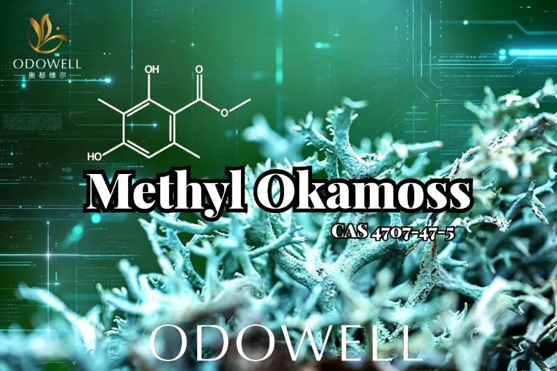 ODOWELL Methyl Okamoss را معرفی می کند: Oakmoss مصنوعی معتبر برای Chypre و Fougère Mastery