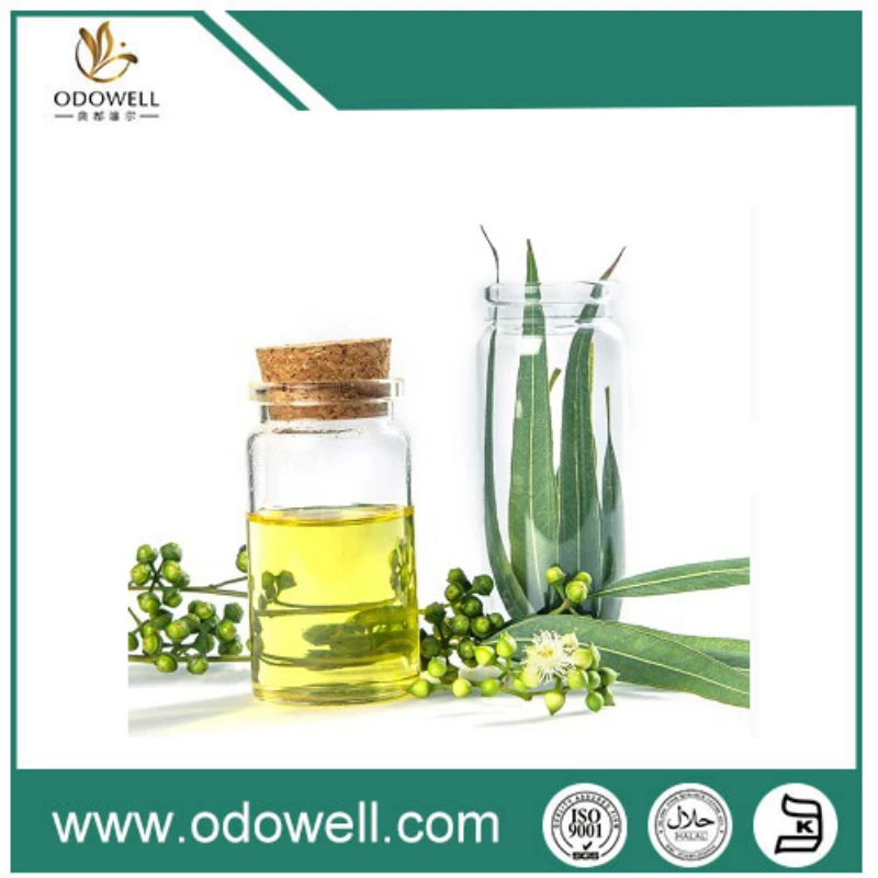 چرا نمرات دارویی در کاربردهای روغن اکالیپتوس جذابیت بیشتری پیدا می کند؟