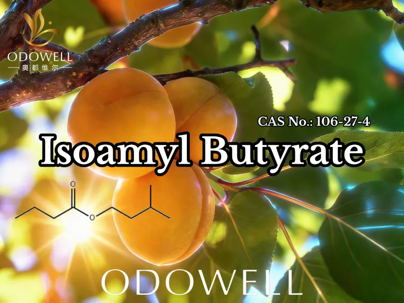 ODOWELL ایزوآمیل بوتیرات (CAS 106-27-4) را برای کاربردهای طعم و عطر توصیه می کند.