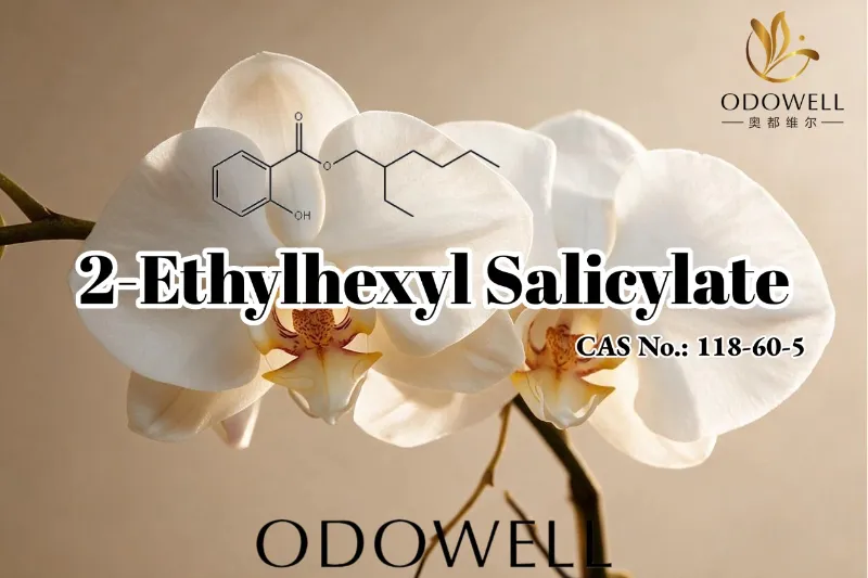 ODOWELL 2-اتیل هگزیل سالیسیلات را برای کاربردهای عطر، لوازم آرایشی و مراقبت شخصی توصیه می کند.