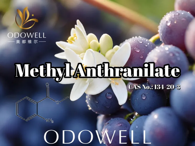 ODOWELL متیل آنترانیلات را برای کاربردهای انگور، شکوفه پرتقال و نرولی توصیه می کند.